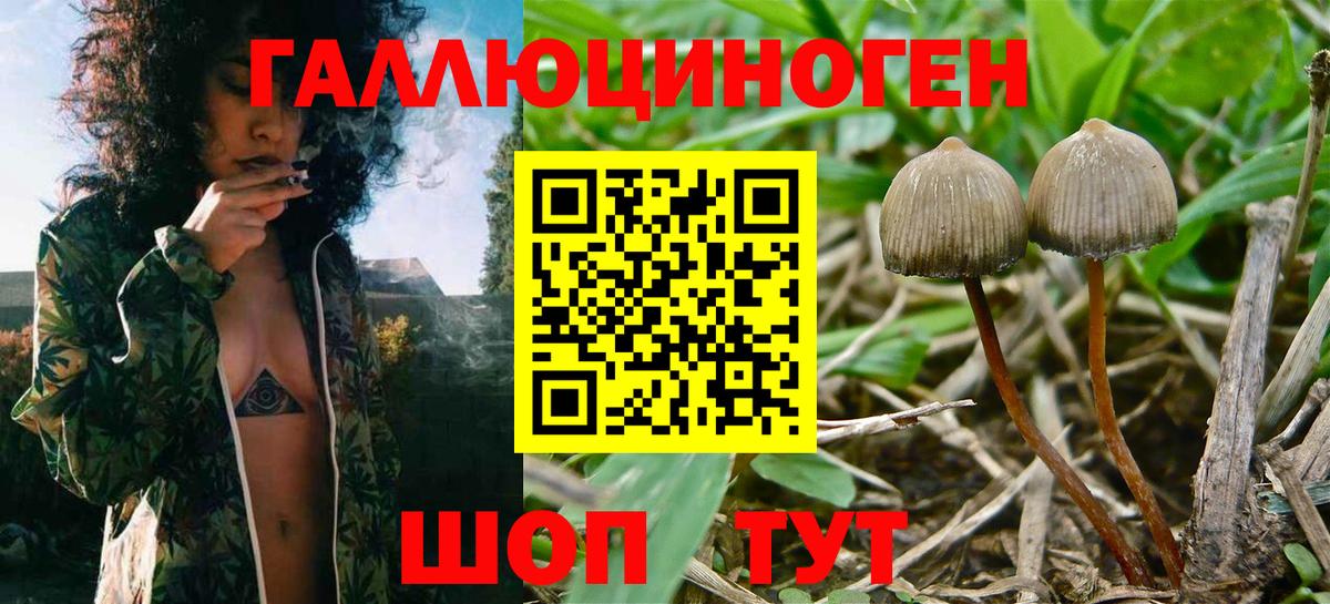 Галлюциногенные грибы ЛСД  Вход с VPN  Клинцы  Галлюциногенные грибы мухоморы 