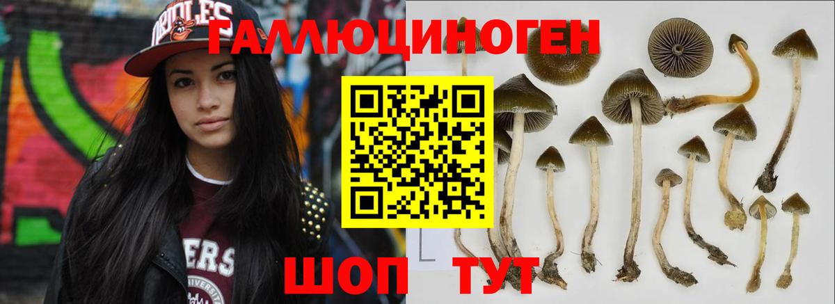Галлюциногенные грибы ЛСД Клинцы